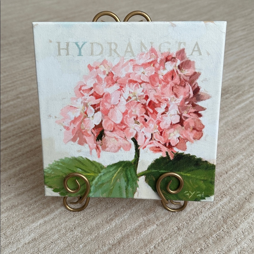 Darren Gygi Hydrangea Giclee Wall Art Canvas Museum Quality Gallery Wrapped 9”